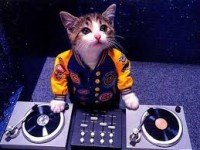 DJ Mr. Gato