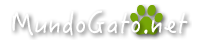 Gatos: Toda la información sobre tu gato