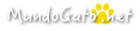 Gatos: Toda la información sobre tu gato