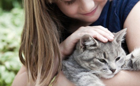 Ventajas de adoptar un gato