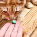 Nombre de la pastilla antiparasitaria para gatos