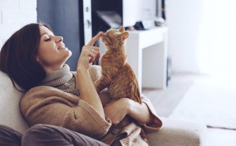 ¿Tener un gato es bueno para la salud?