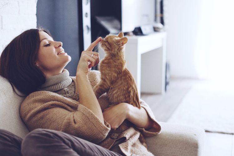 ¿Tener un gato es bueno para la salud?